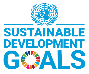 SDG Logo